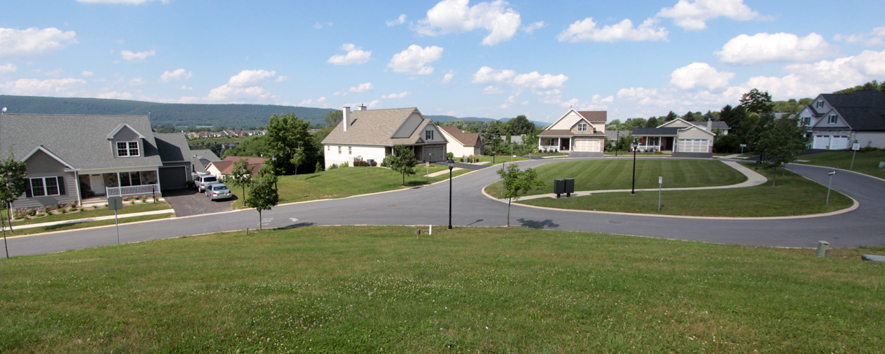 Springfield Commons